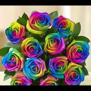 Meet your Posher, Destinee